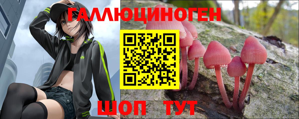 Галлюциногенные грибы Psilocybine cubensis Бутурлиновка